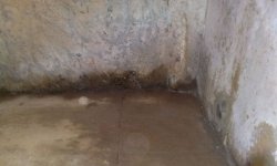 Сырость в подвале частного дома: методы устранения, устройство гидроизоляции и создание вентиляции