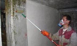 Как избавиться от грибка в подвале: дезинфекция помещения и стеллажей, предотвращение появления плесени и грибков