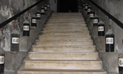Лестница в погреб: классификация по типам, выбор материала и основные характеристики