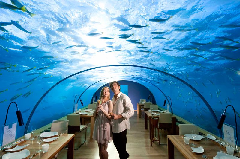 1349852364_ithaa-underwater-restaurant-10