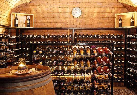 Wine Enthusiasts Rejoice: The Ultimate Guide to Wine Cellar Panels